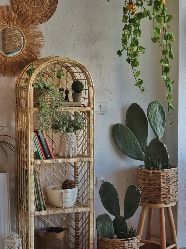 Balkon ve bahçe